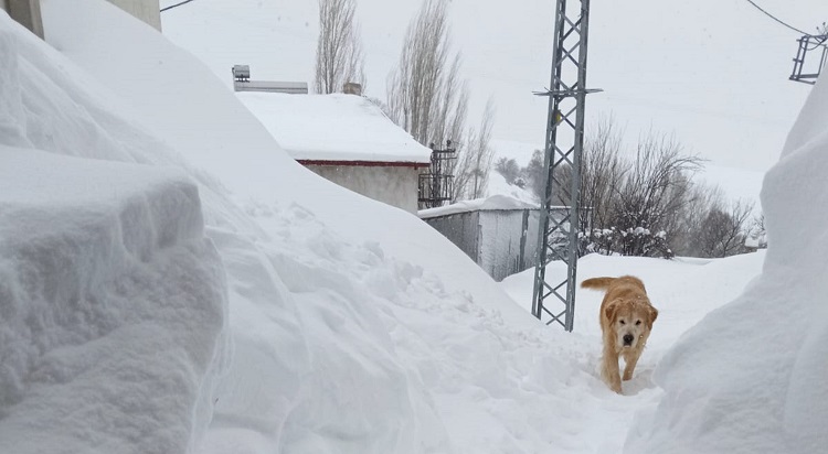 Sivas’ta kar duvarları evleri sardı
