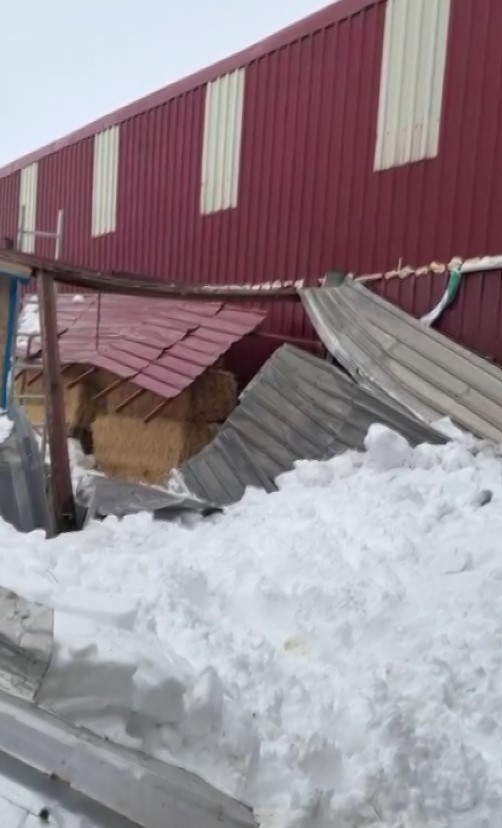 Sivas'ta Yoğun Kar Samanlığı Yıktı
