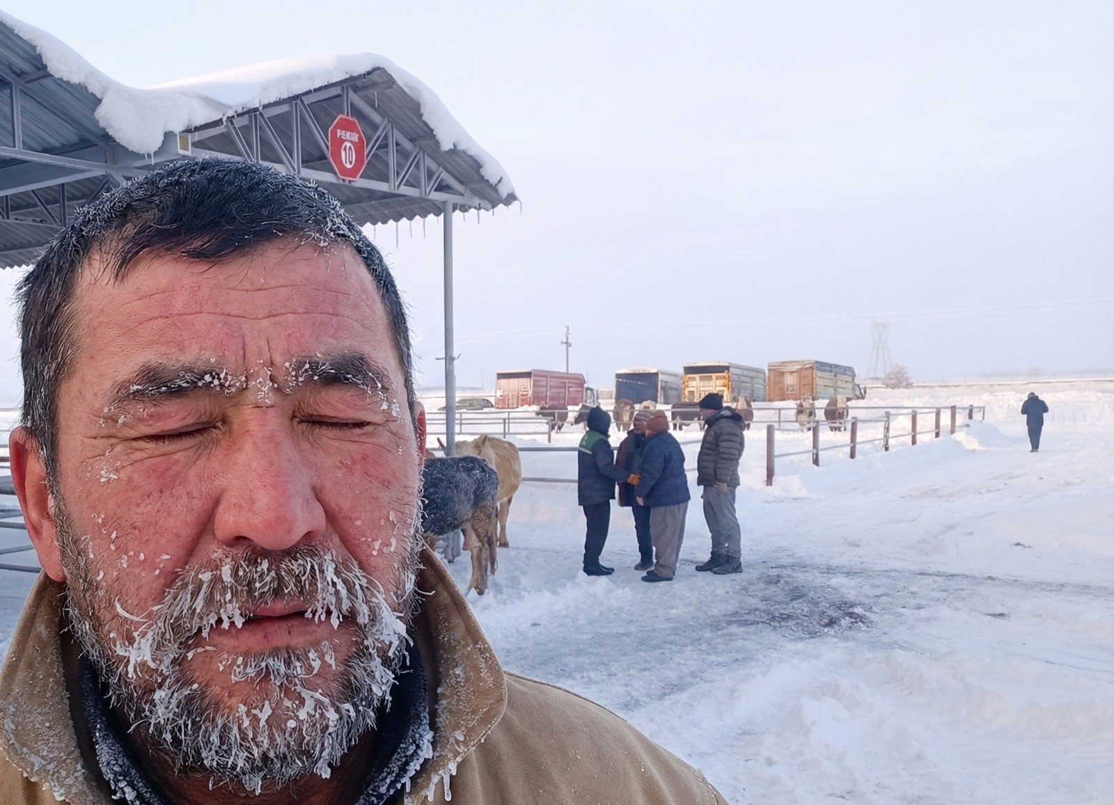 Türkiye'nin En Büyük Hayvan Pazarını Don Vurdu