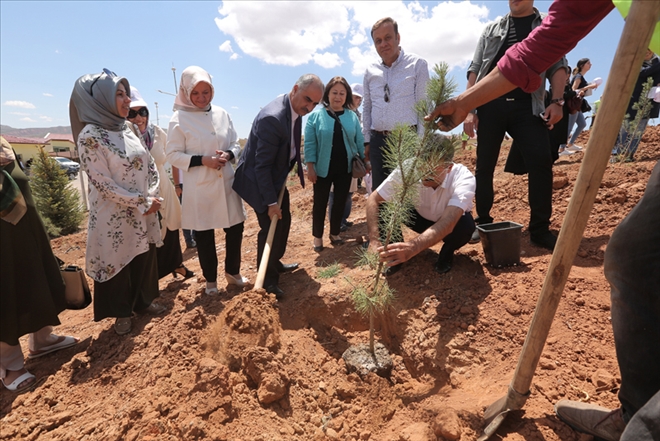 ESKİ ÇÖPLÜK YEŞERİYOR