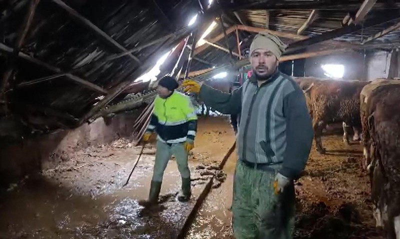 Sivas’ta kar yükü ahırı çökertti, hayvanlar komşuların yardımıyla kurtarıldı