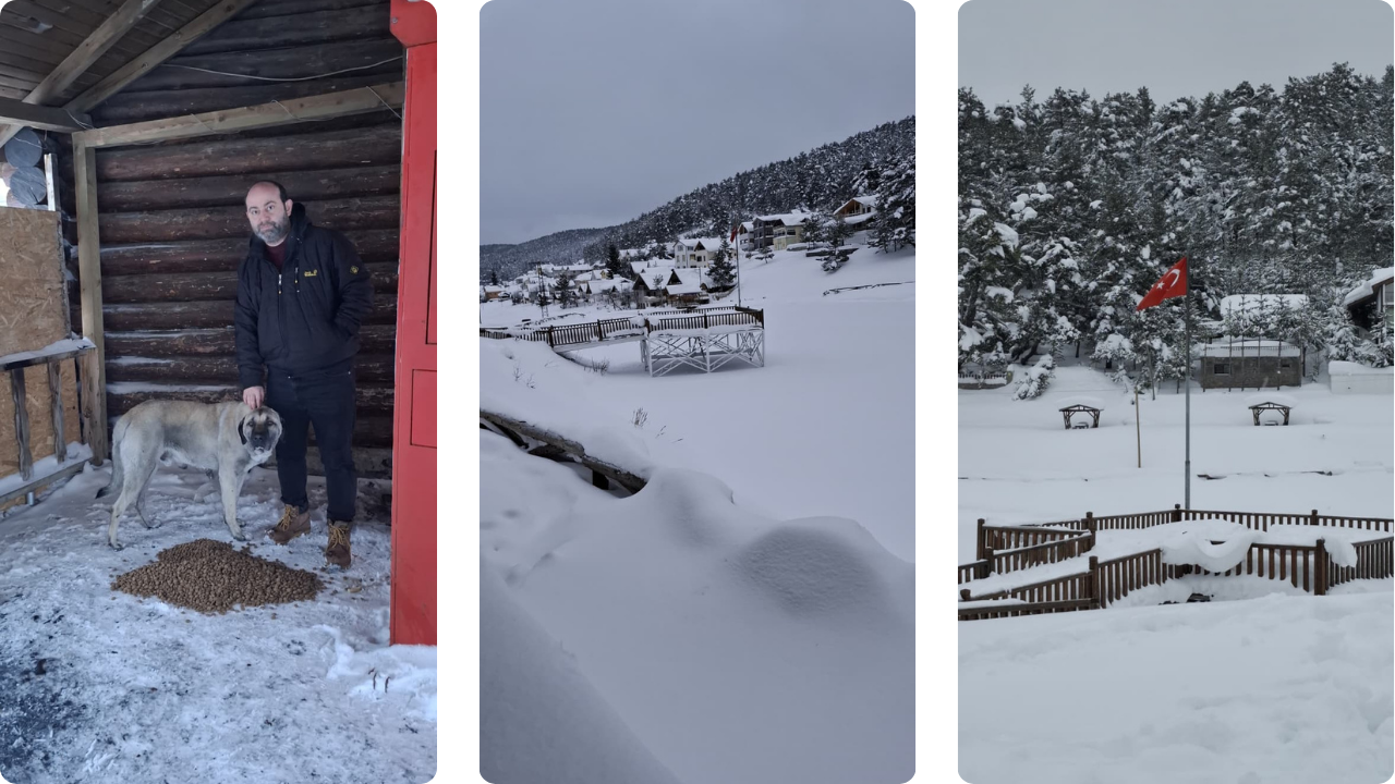 Sivas'ta yaban hayvanları unutulmadı