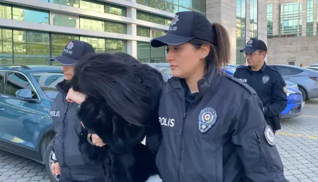 Polise hakaret etti, meydan okudu, yakalandı