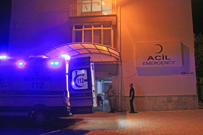 AYI SANDIĞI ARKADAŞINI ÖLDÜRDÜ