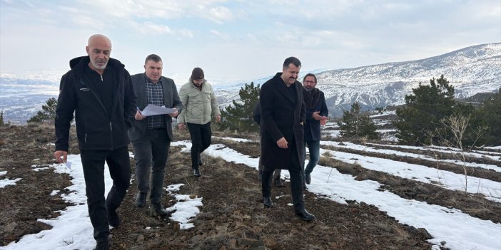 Sivas Suşehri’nde yeşil alan hamlesi