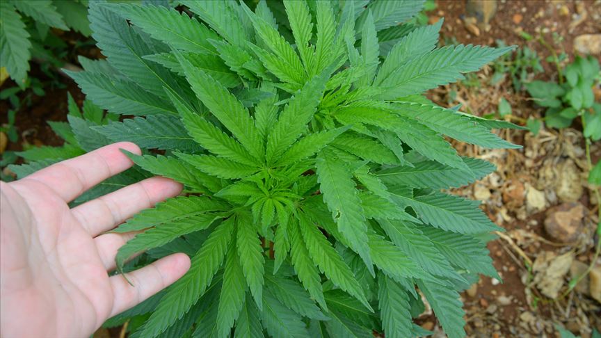 Sivas Listede! Kenevir İçin Kritik Karar