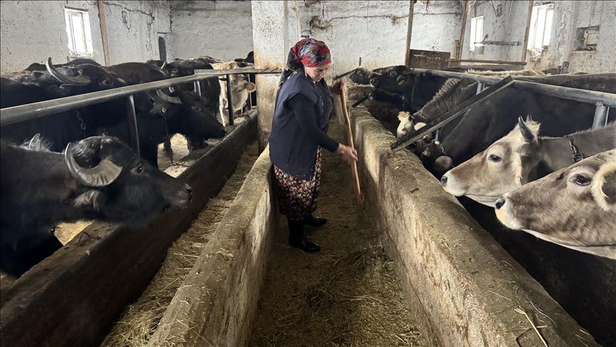 5 Mandayla Başladı, 20’ye Ulaştı