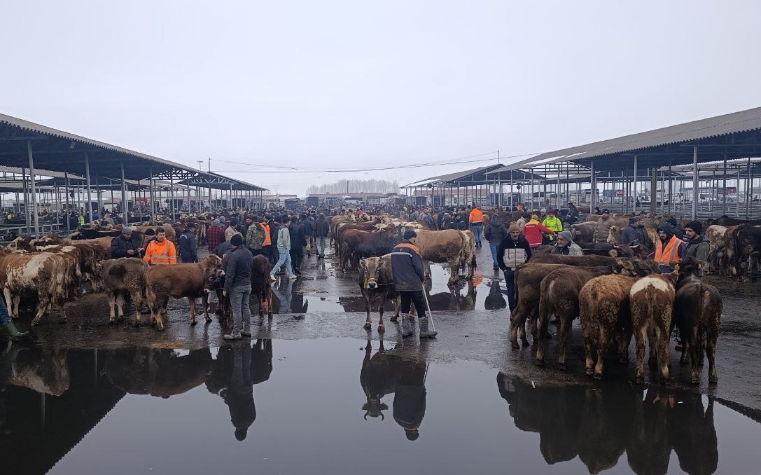 Pazar Yeniden Açıldı, Çevre İllerden Akın Var