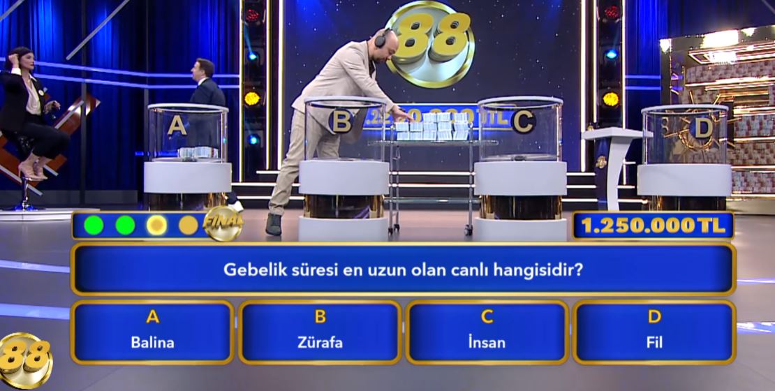 Hamileliği En Uzun Süren Hayvan Hangisidir? Fil mi, Balina mı?