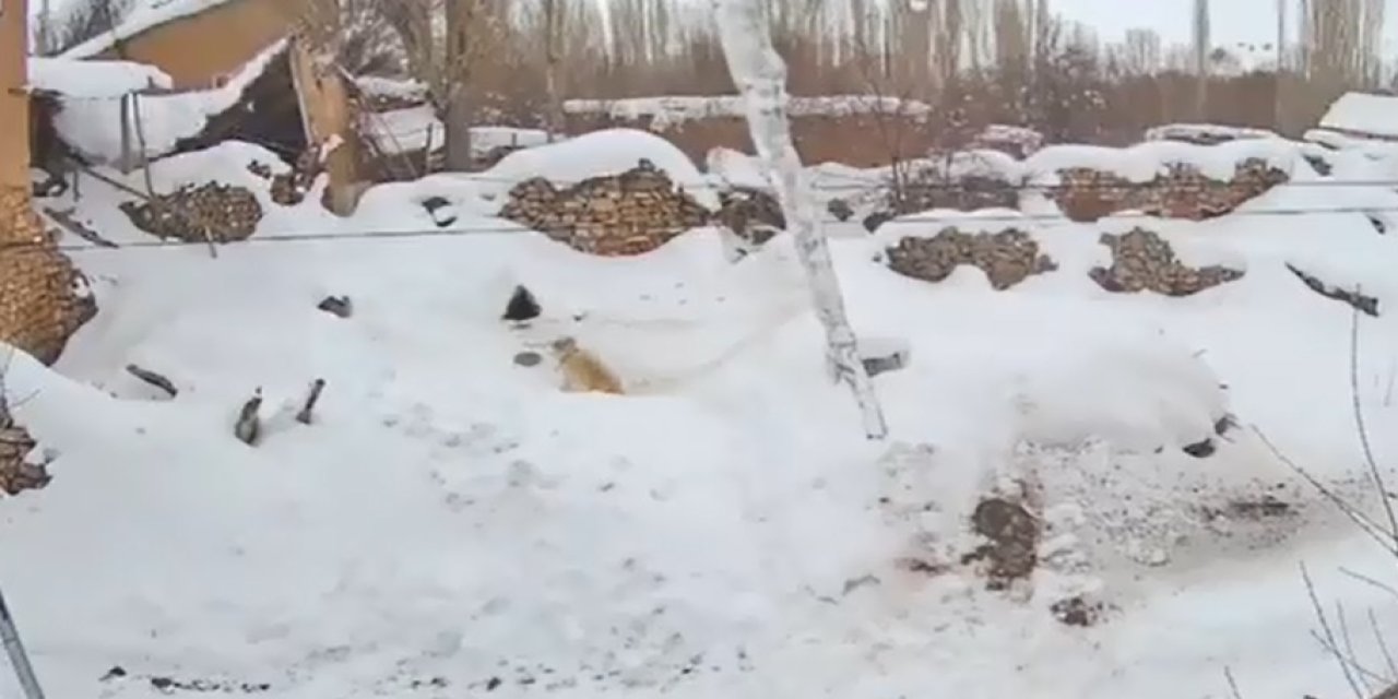 Sivas'ta odunluğun çatısı çöktü