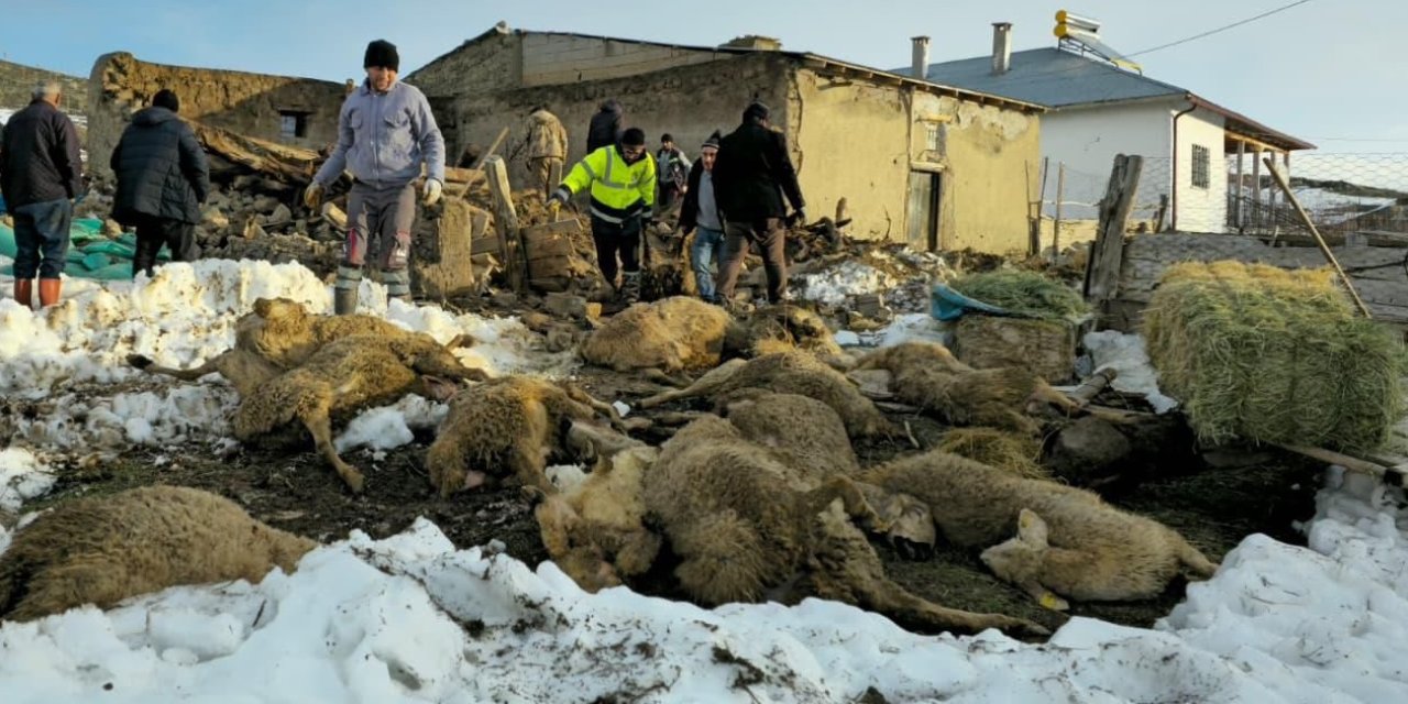 Sivas'ta ağıl çöktü, 40 koyun öldü