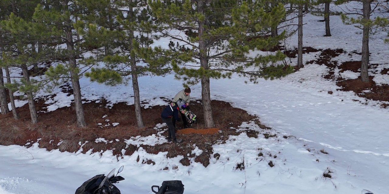 Sivas'ta yaban hayvanları unutulmadı