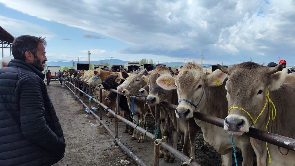 Sivas'ta Hayvan Pazarı’nın Günü Değişti