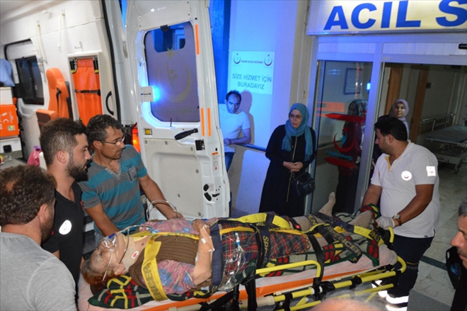 KAMYON AĞACA ÇARPTI: 6 YARALI