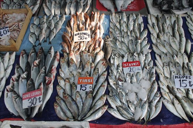 HAMSİ 12,  LEVREK 30  Liraya çıktı