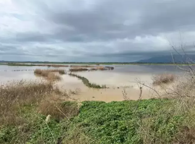 Nehir taştı, tarımın kritik ovasını su bastı