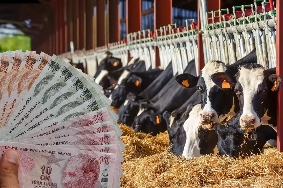 Sivas hayvancılıkta Türkiye’nin güçlü illeri arasında