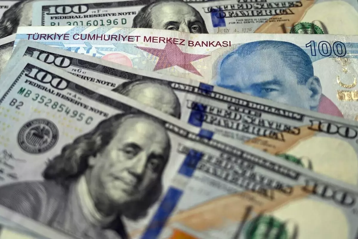 Merkez bankası yıl sonu dolar ve enflasyon tahminini açıkladı