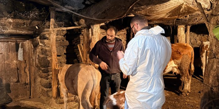 Sivas’ta Şap Aşılama Çalışmaları İmranlı’da Başladı