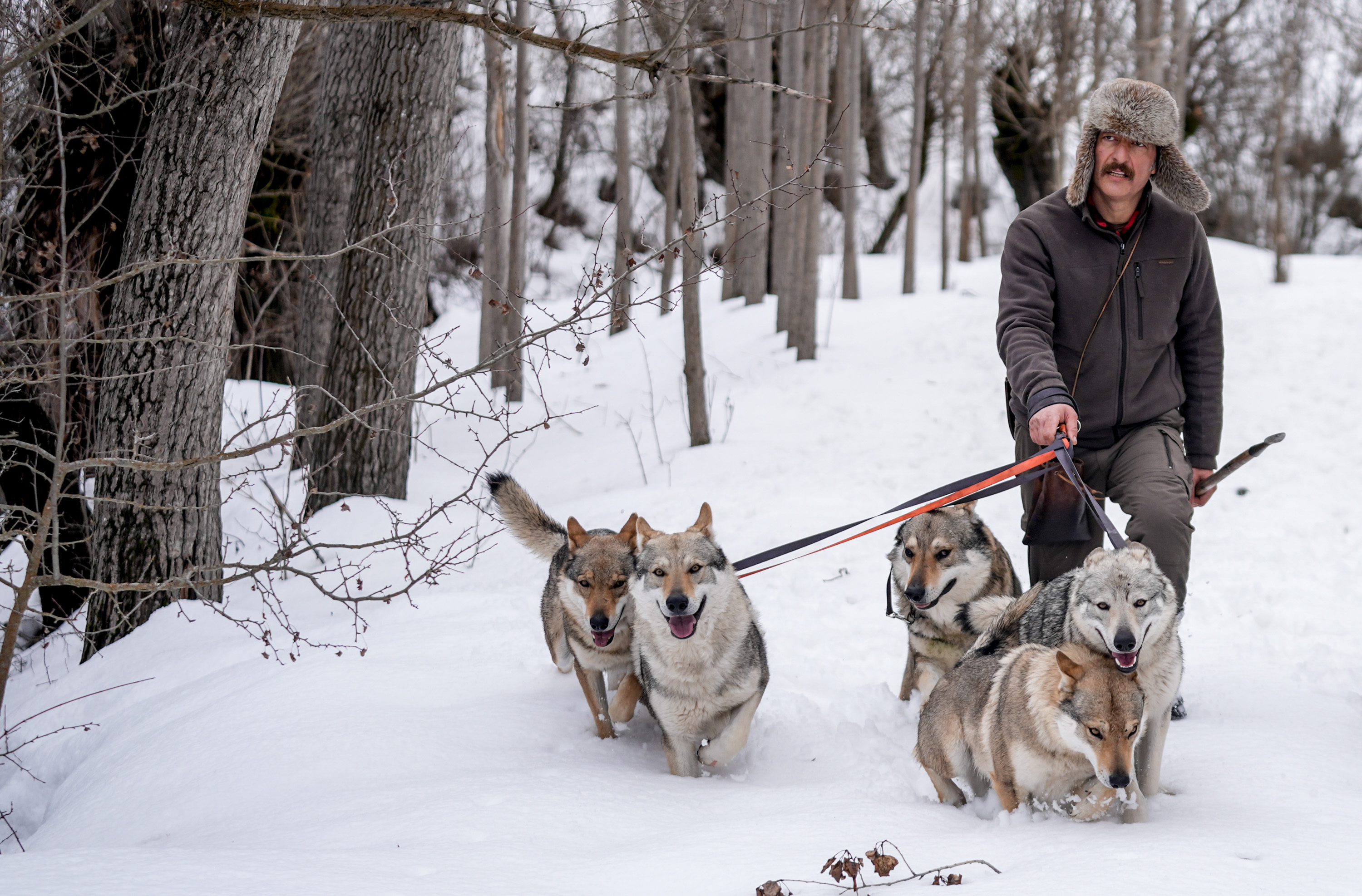 Şehirden kaçtı, Sivas bozkırında hayat kurdu
