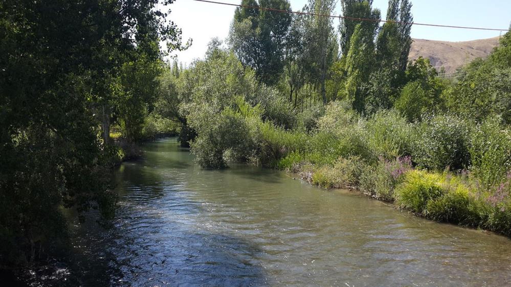 Sivas'tan doğan Tohma Çayı araştırması dünya biliminde