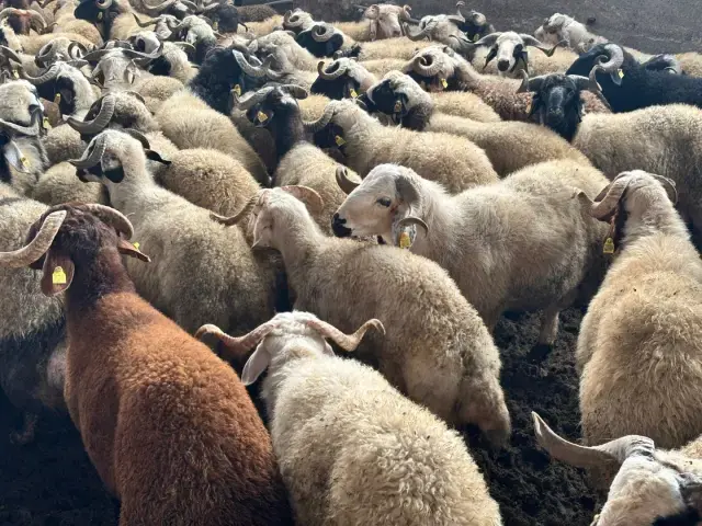 Belediye Ramazanda gönüllere dokundu