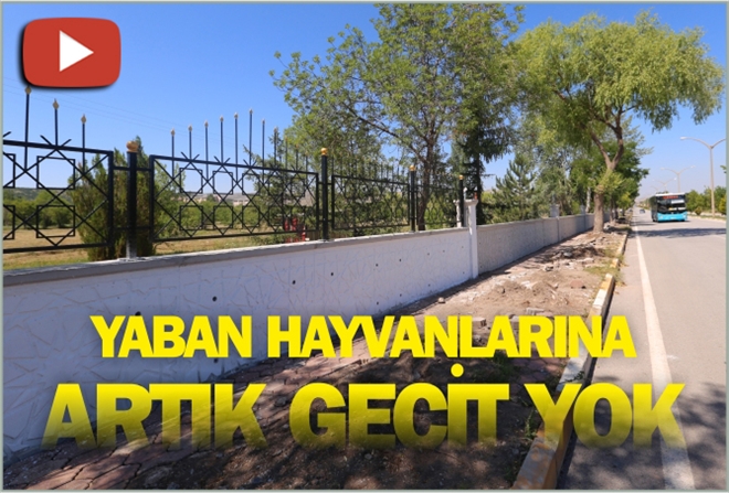YABAN HAYVANLARINA  GEÇİT ARTIK YOK