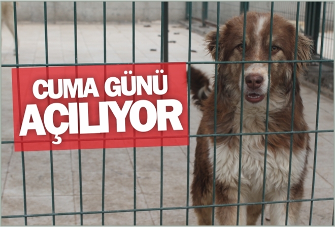 CUMA GÜNÜ AÇILIYOR