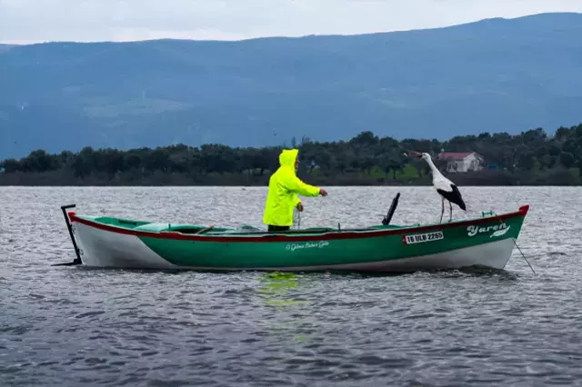 Yaren leylek bu yıl da geldi!