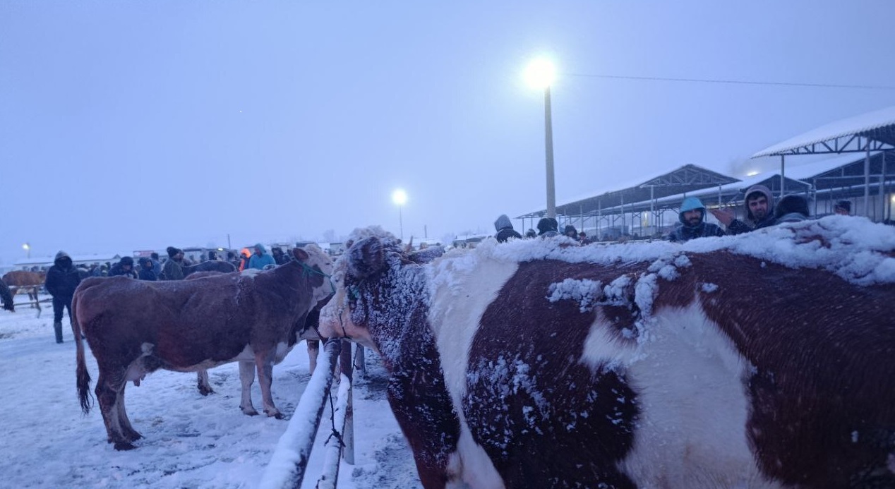 Türkiye'nin En Büyük Hayvan Pazarını Kar ve Tipi Vurdu