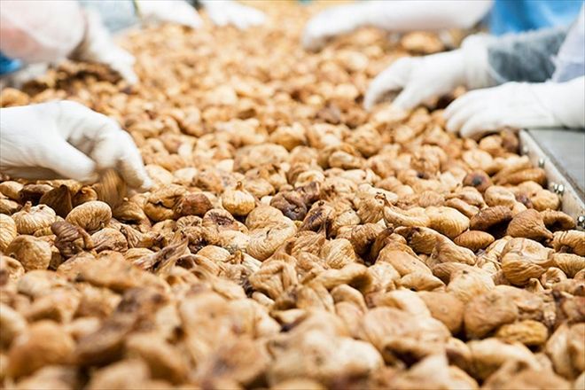 SESOB´dan ?GIDA  KOTEKSİ? UYARISI