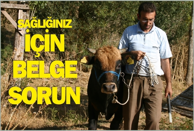 ?SAĞLIĞINIZ İÇİN BELGE SORUN?