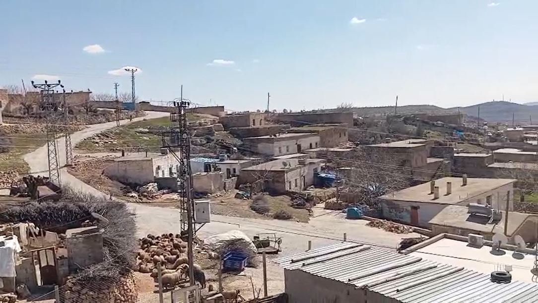 Şüpheli İnek Vakası Sonrası Mahalle Karantinaya Alındı