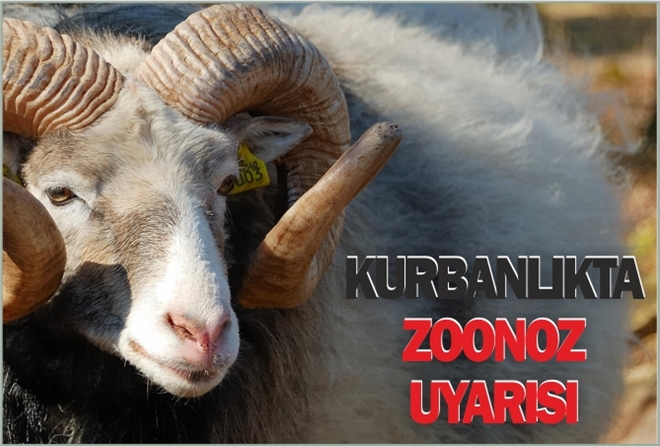 KURBANLIKTA ?ZOONOZ´ UYARISI