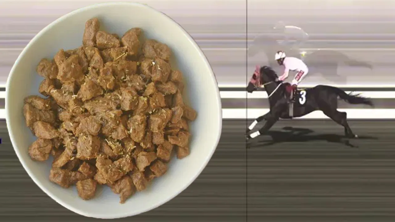 Türkiye bu olayı konuşuyor! Kavurma yapılan yarış atının sahibinden açıklama