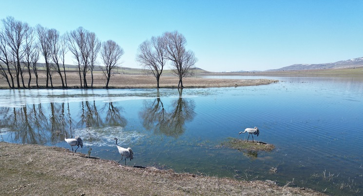 Sivas'ta yağışlar merada göl oluşturdu