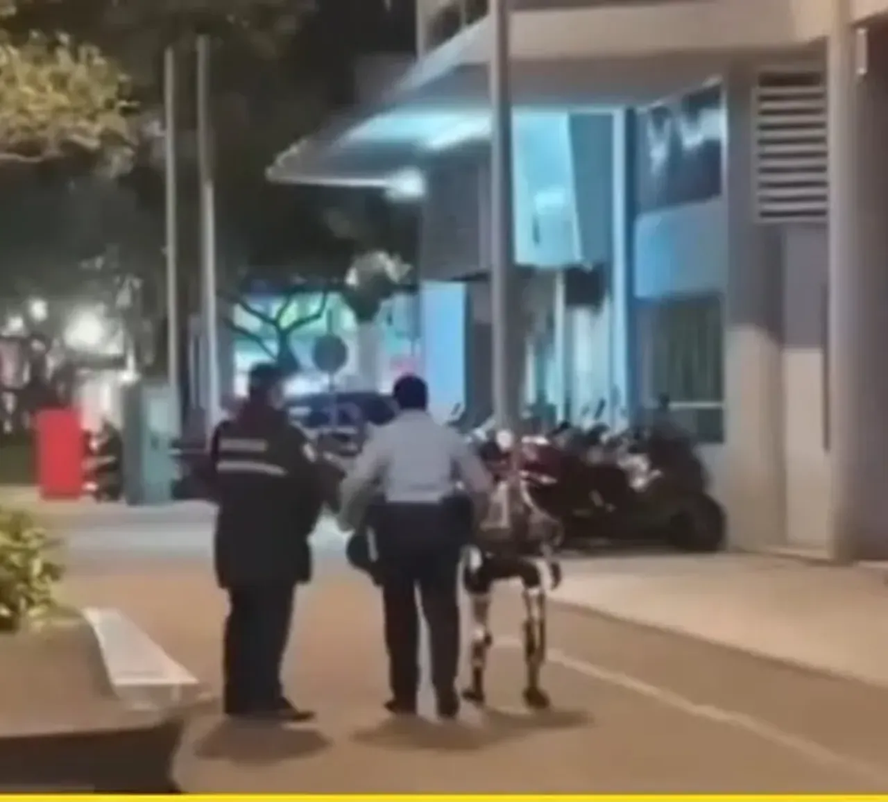 Yaşlı kadını korkutan robot gözaltına alındı