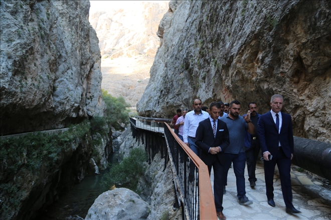 VALİ GÜL YATIRIMLARI İNCELEDİ