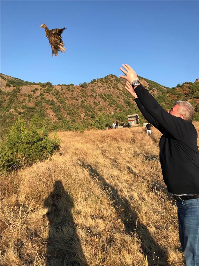 KENEYLE MÜCADELE İÇİN DOĞAYA SÜLÜN BIRAKILDI