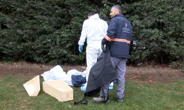 Yol kenarında yeni doğmuş bebek cesedi bulundu