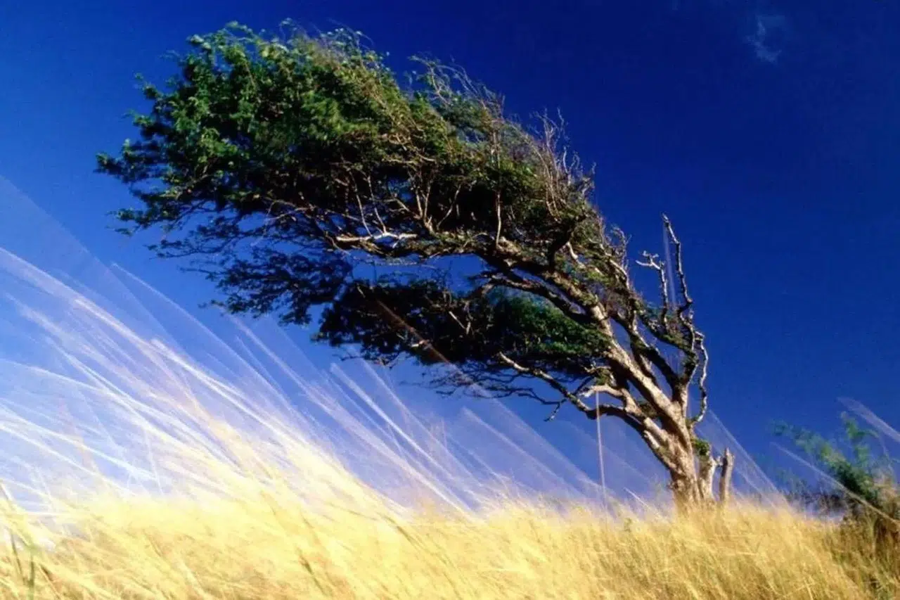 Sivas için kuvvetli rüzgâr alarmı