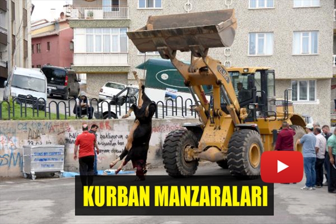 KURBAN MANZARALARI