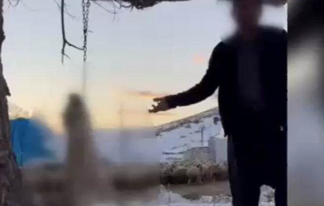 Köpeği asarak öldürdü! Sebebi pes dedirtti