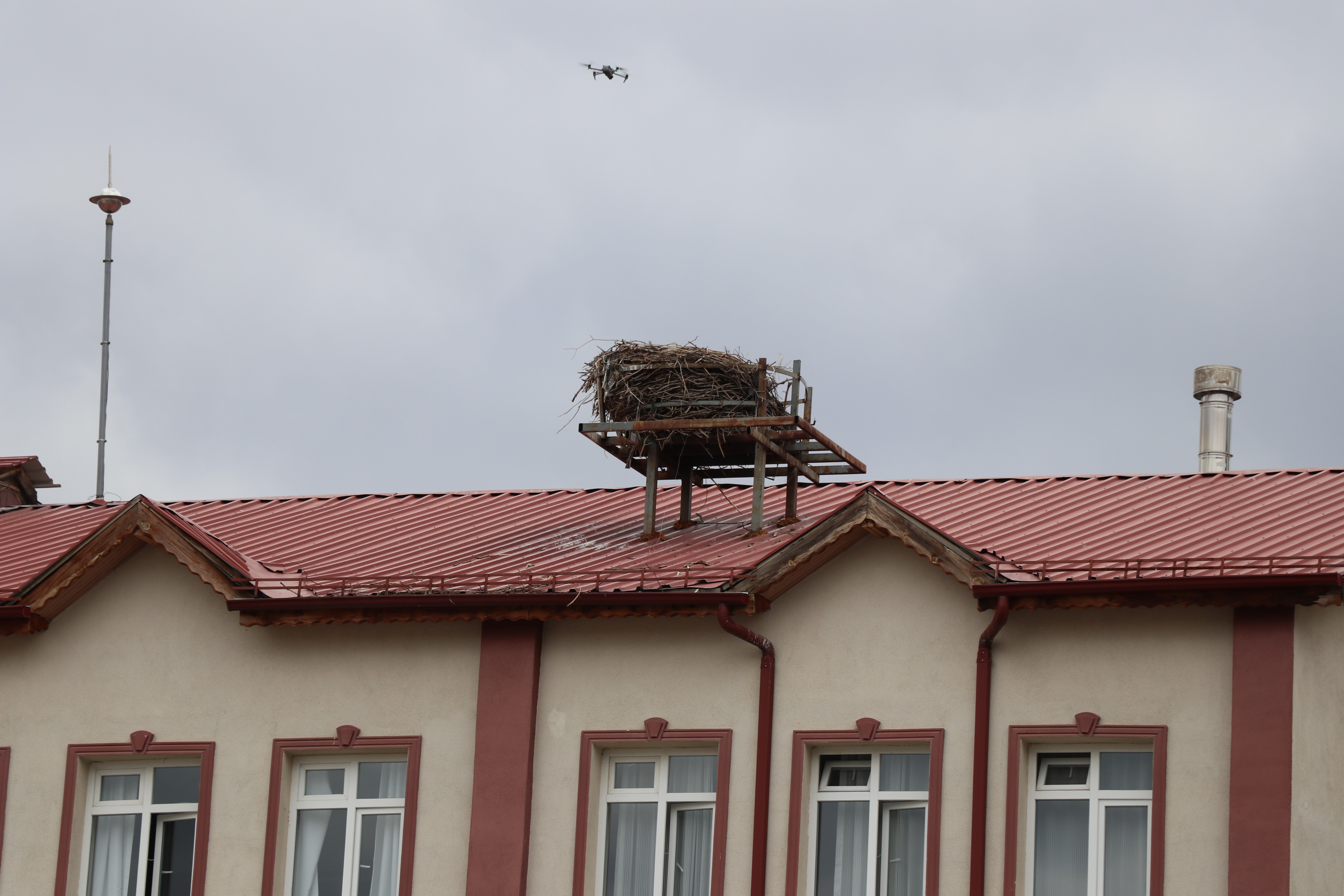 Sivas’ta leylek hasreti! Öğrencilerin gözü gökyüzünde