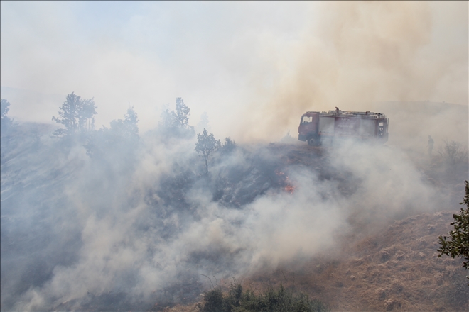 HAFİK´TE AĞAÇLIK ALANDA YANGIN