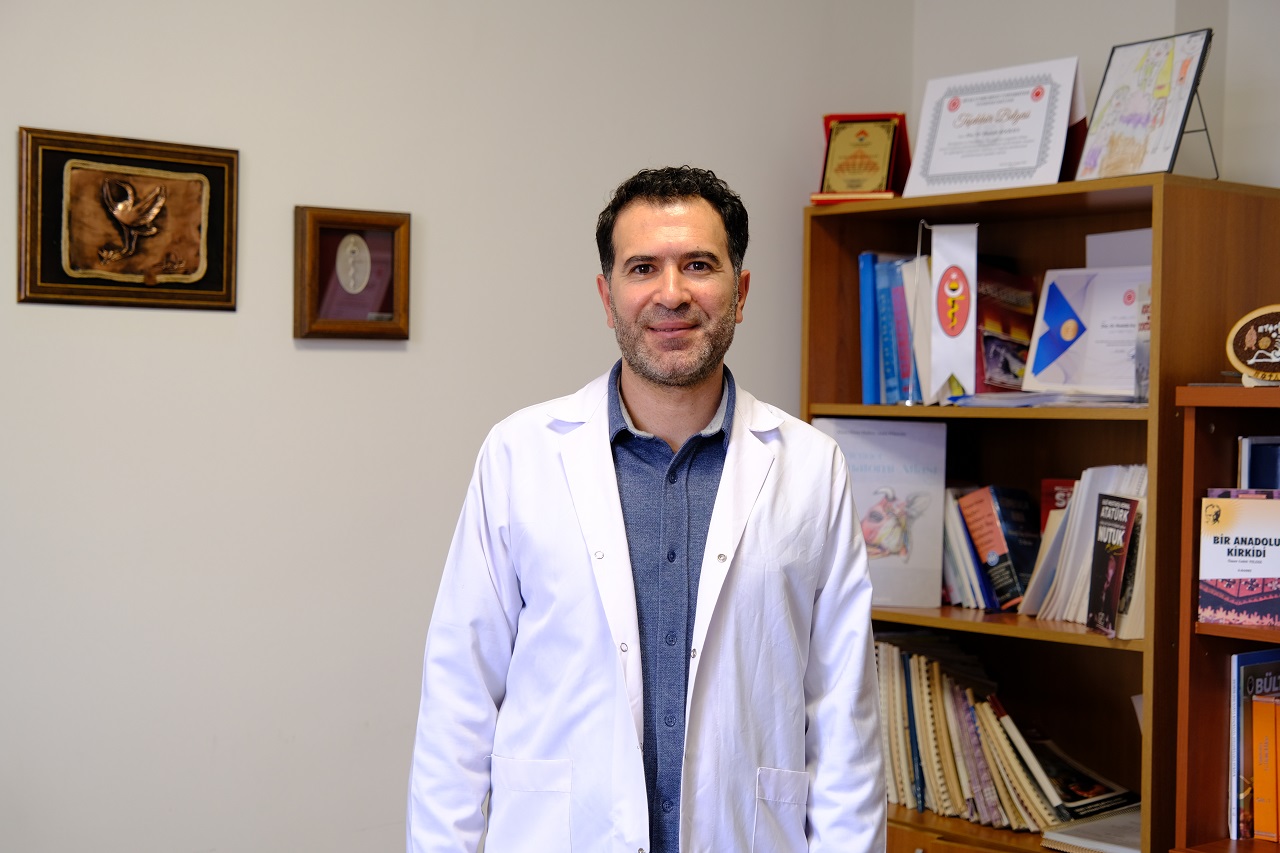 Sokak hayvanları için uzmanında çağrı