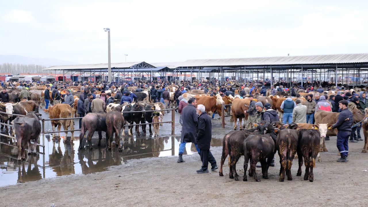 Kurban öncesi Sivas’ta pazar alarmı: Fiyatlar yükseliyor