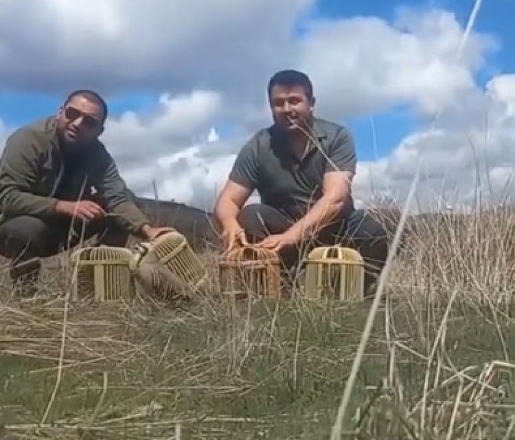 Sivas'ta kaçak avcılar yakalandı