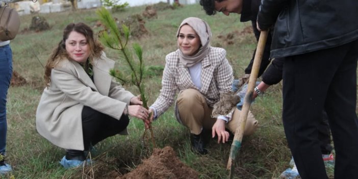 Sivas'ta 200 fidan toprakla buluştu