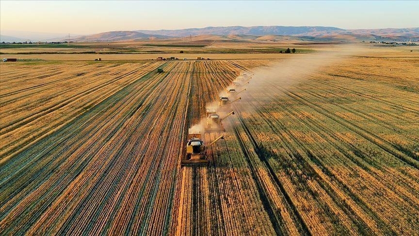 Tarımsal destek ödemeleri çiftçilere aktarıldı